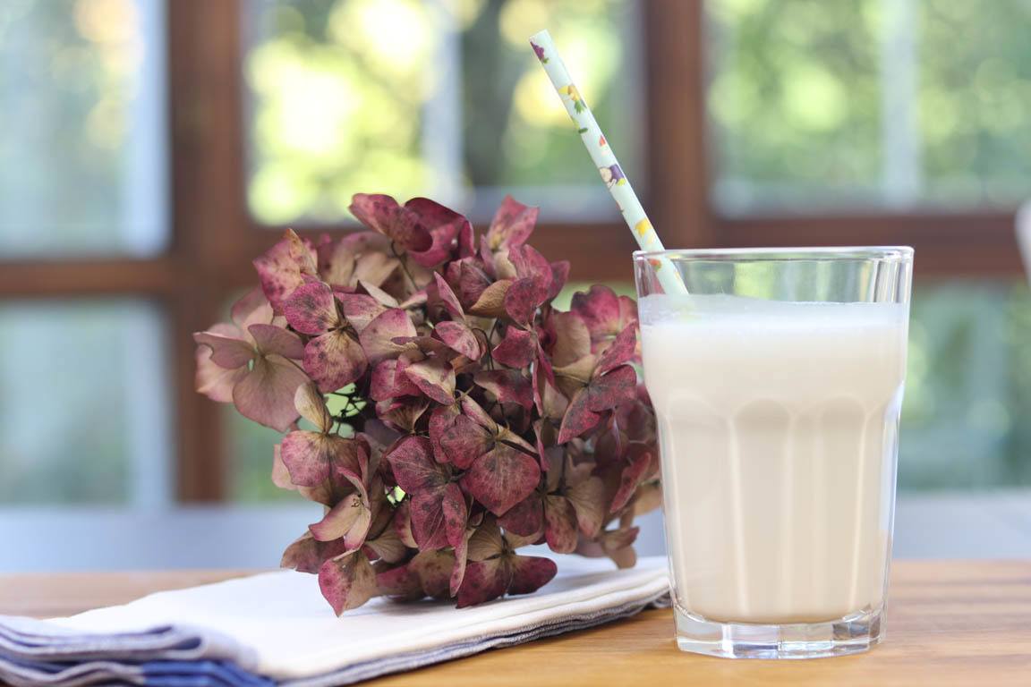 193A-Leche-de-anacardos_Simple-Blending