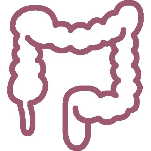 Guia-Nutricional-12_Simple-Blending_Alto-contenido-fibra