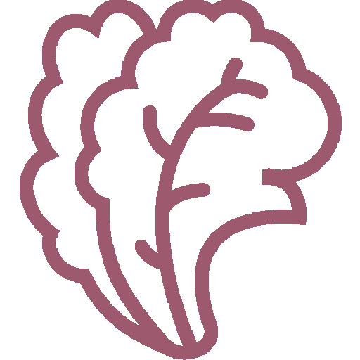 Guia-Nutricional-12_Simple-Blending_Variedad-nutrientes