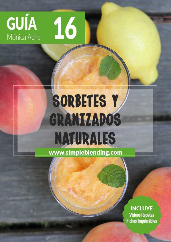 Guia-16_Sorbetes-y-granizados-naturales_Simple-Blending