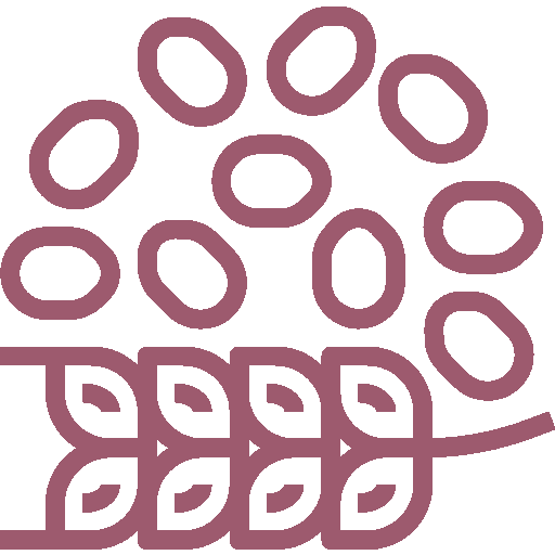 Guia-Nutricional-18_Simple-Blending_Smoothies-avena-desayuno_Muy-saciante