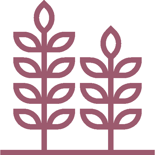 Guia-Nutricional-24_Simple-Blending_Parfaits-desayuno_Vistosos