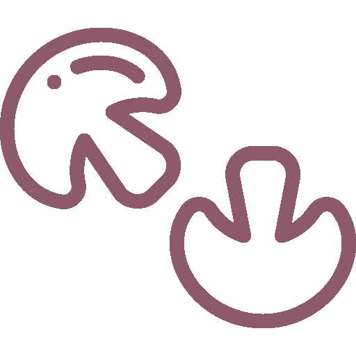 Guia-Nutricional-26_Simple-Blending_Guarniciones-vegetales-salteadas_Altas-Fibra