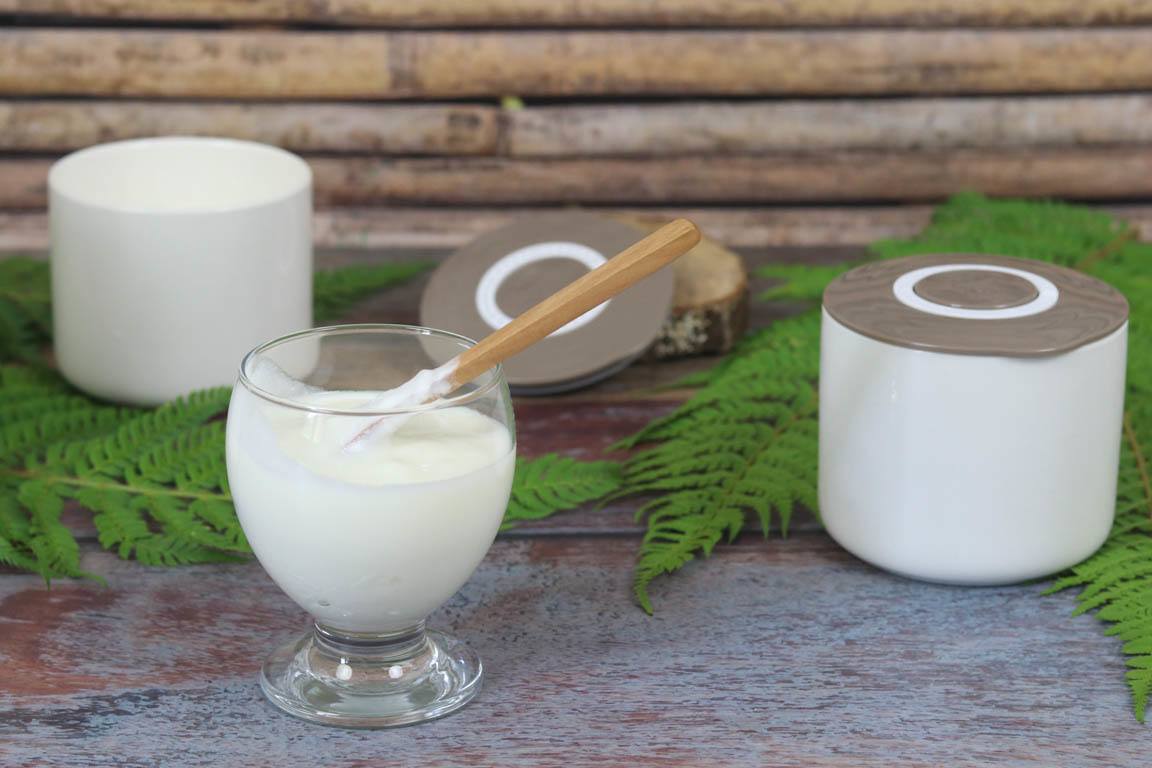 0868A-Yogur-entero-natural-muy-cremoso_Simple-Blending