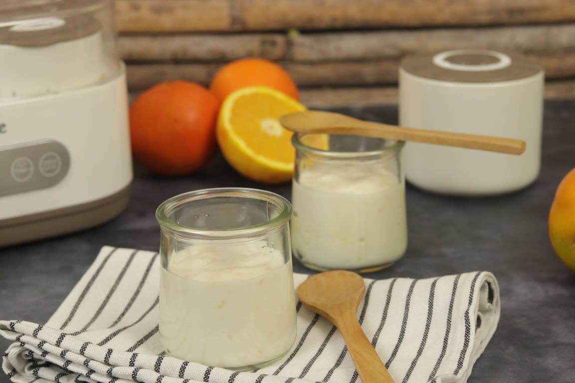 1013A-Yogur-aromatizado-de-naranja_Simple-Blending