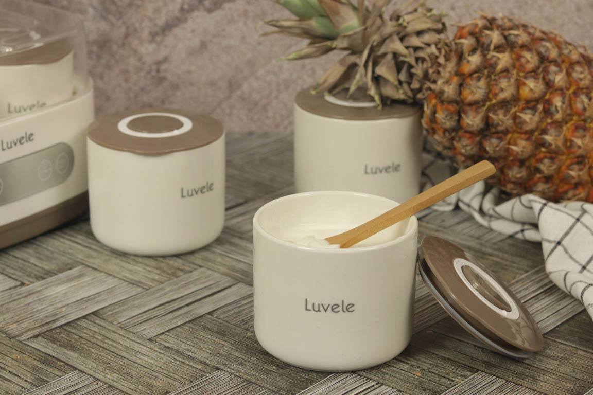 1083A-Yogur-casero-de-piña_Simple-Blending