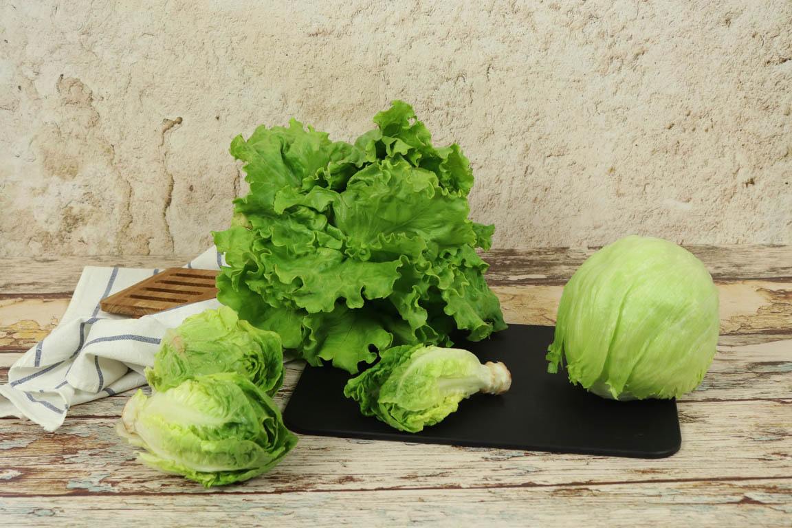 1199A-Comparativa-entre-3-lechugas-diferentes_Simple-Blending