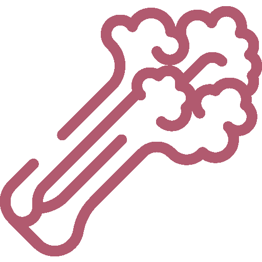Guia-Nutricional-52_Simple-Blending_Jugos-de-apio-con-frutas_Antioxidantes
