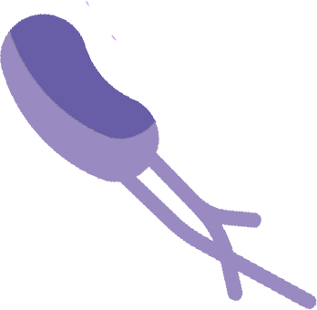 Nutricion-precision-Monica-Acha_Test-Genetico-Analitica_Beneficios-Microbiota