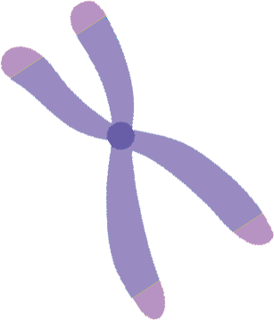 Nutricion-precision-Monica-Acha_Test-Genetico-Analitica_Telomeros