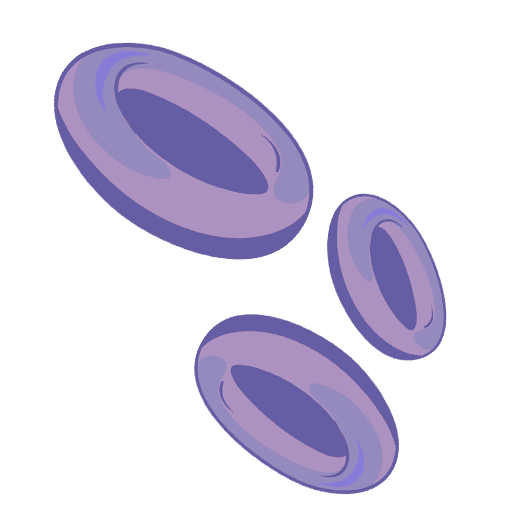 Nutricion-precision-Monica-Acha_Test-Genetico-Analitica_Beneficios-Sangre