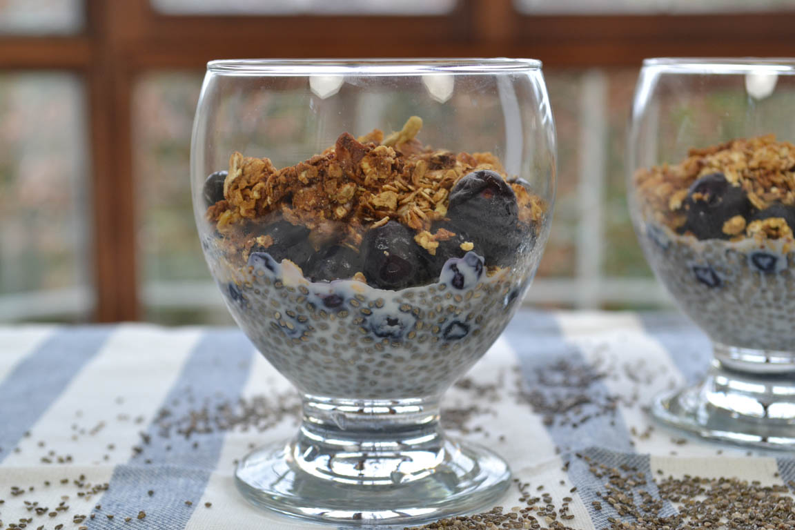 269A-Chia-pudding-con-arandanos-y-granola_Simple-Blending