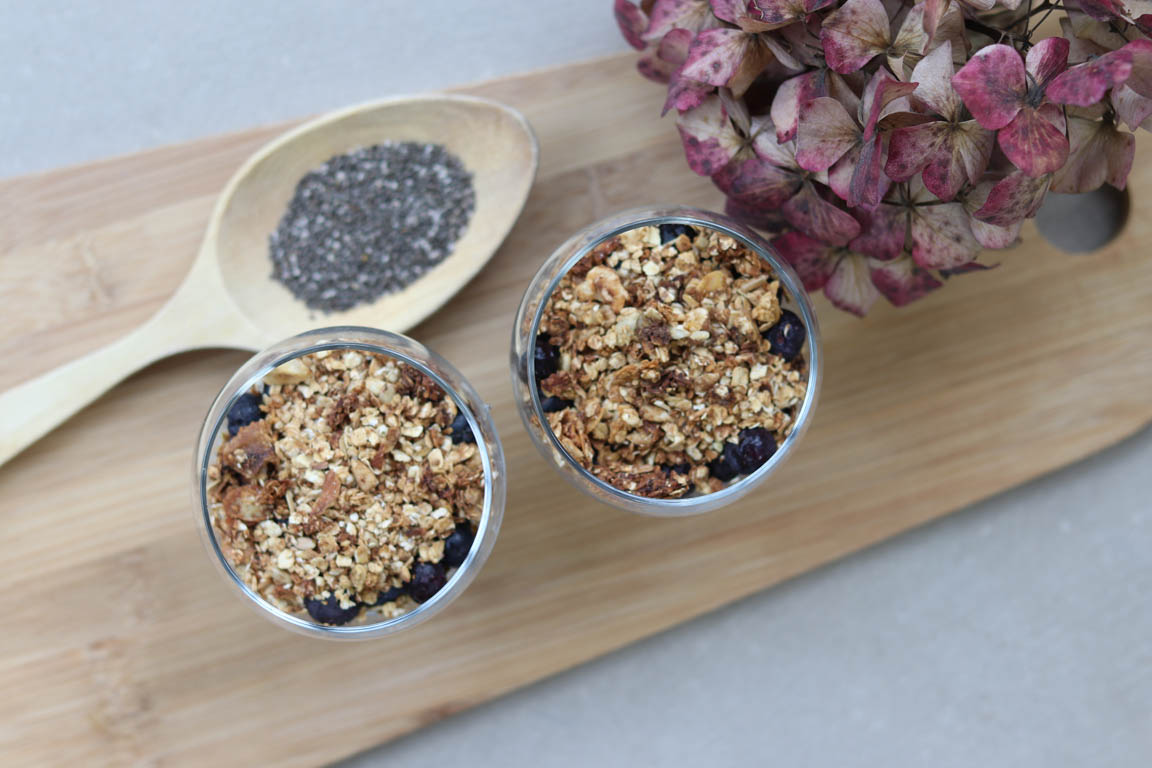 269B-Chia-pudding-con-arandanos-y-granola_Simple-Blending